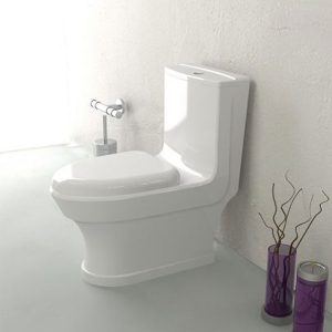 توالت فرنگی مدل آستر - گلسار